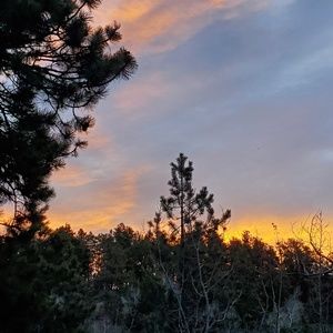 Meet your Posher, Kaitlyn